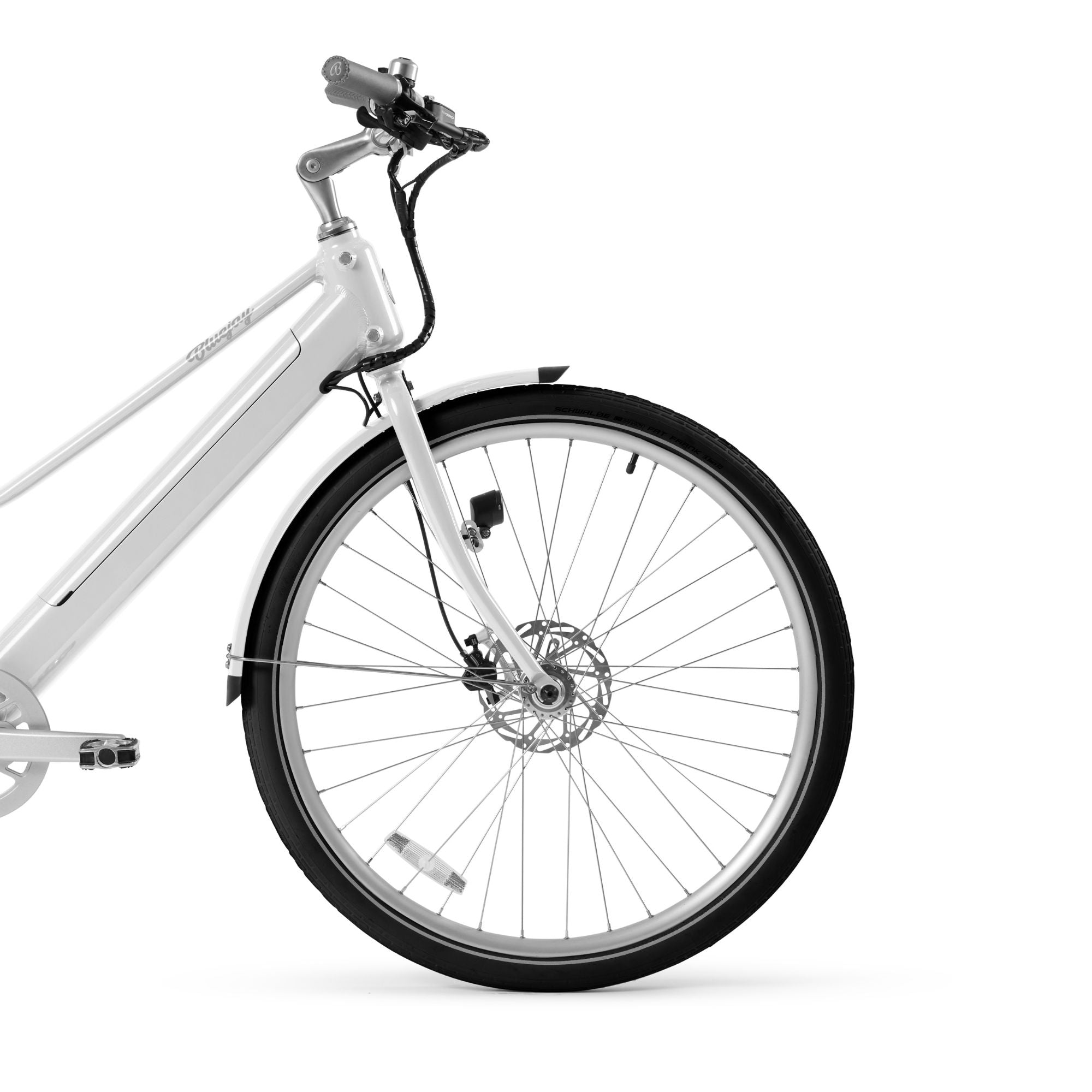 Schwalbe Fat Frank Balloon Tires