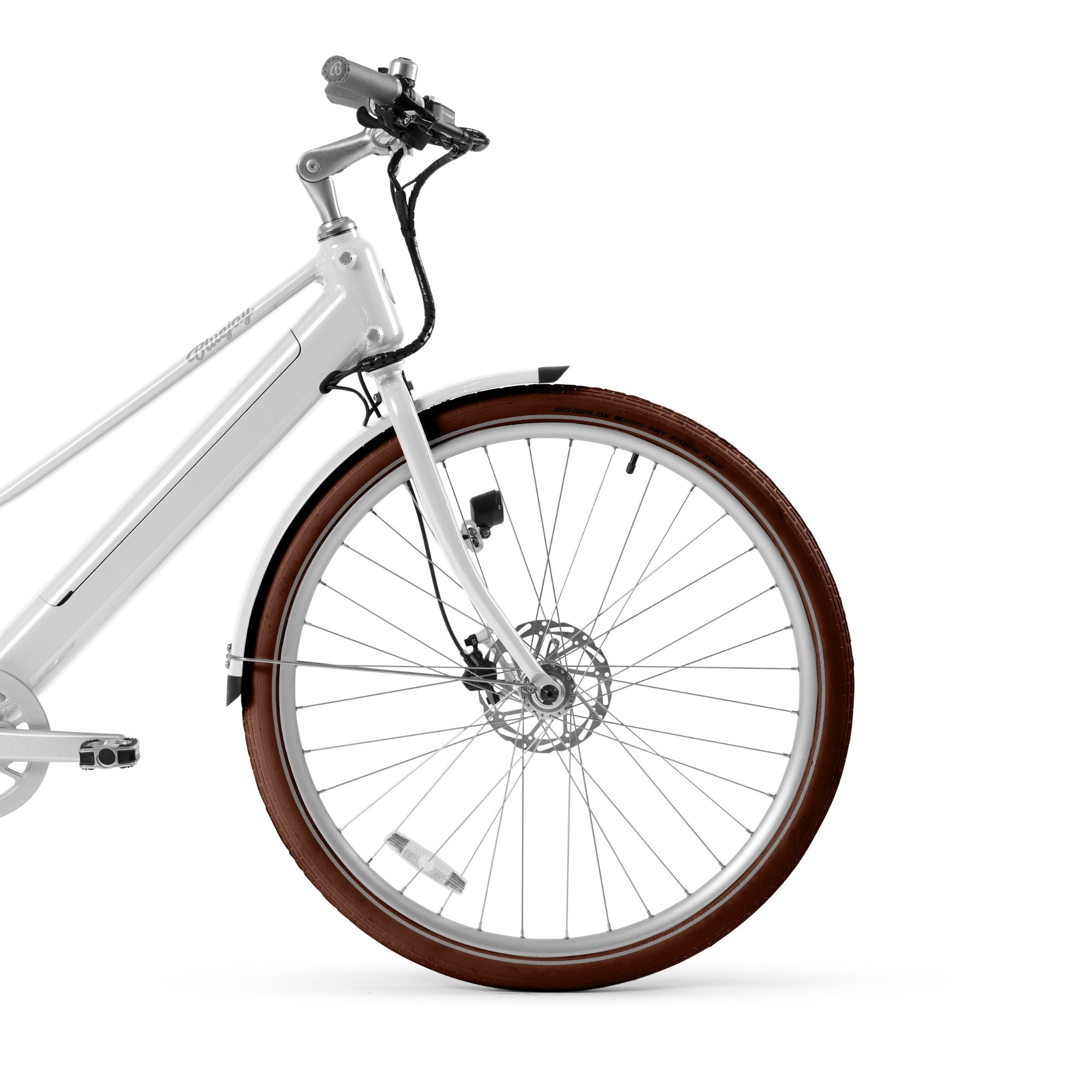 Schwalbe Fat Frank Balloon Tires