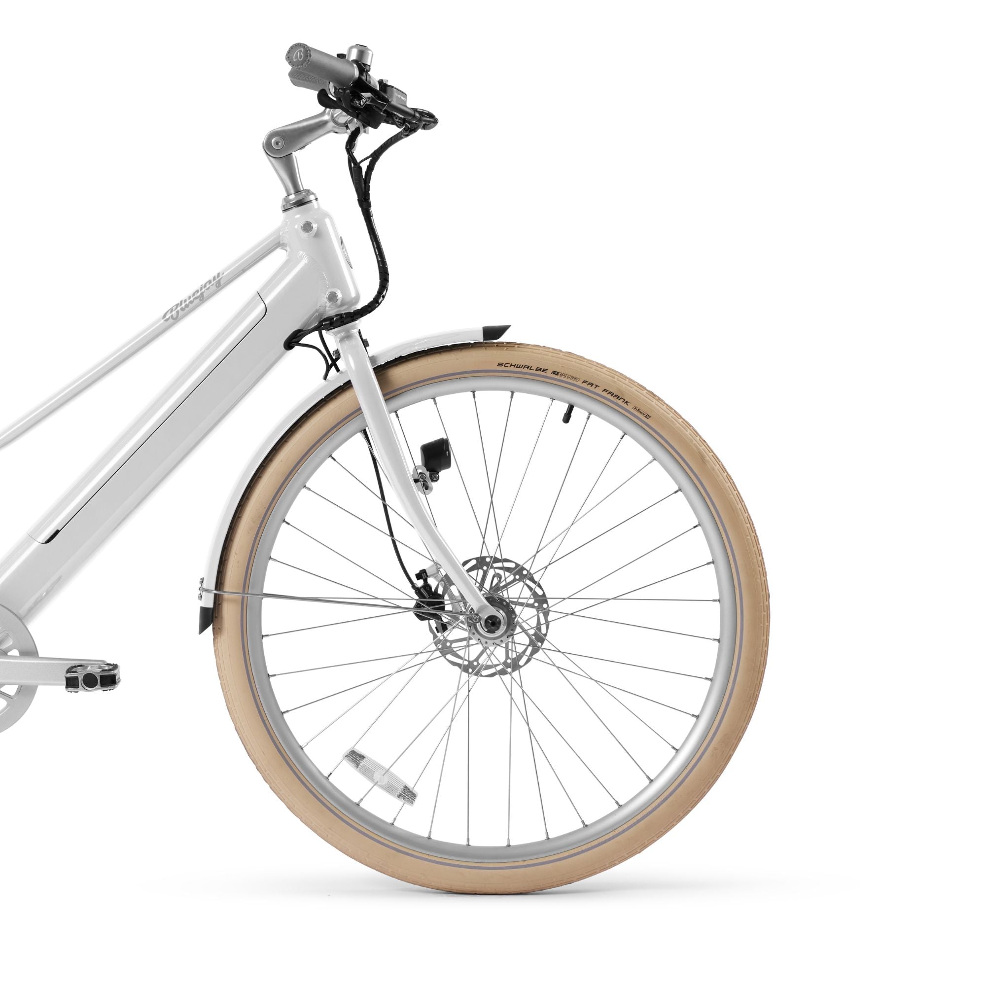 Schwalbe Fat Frank Balloon Tires