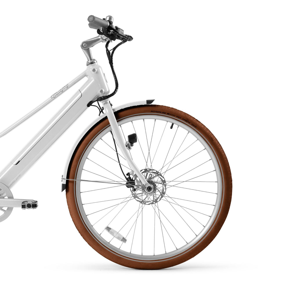 Schwalbe Fat Frank Balloon Tires