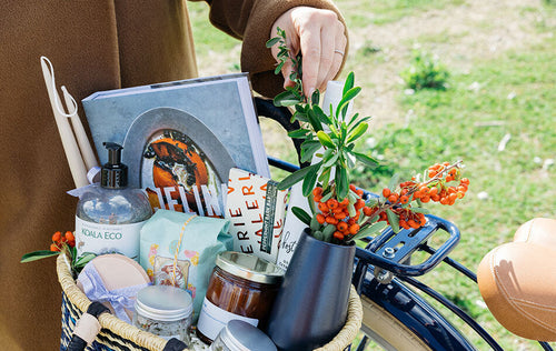 A (Very) Special Holiday Gift from Bluejay Bikes